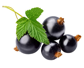 Berries black currant with green leaf fresh - 788016753