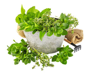 Herbs. Big Basket with different Fresh Farm herb Vegetables. Harvest. Spicy herbs food or Healthy diet concept. Vegetarian cooking ingredients. PNG - 788016939