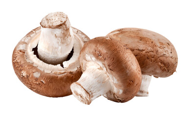 Fresh mushrooms champignon isolated. Organic natural food. PNG. - 788017141