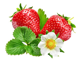 Strawberries with green leaf and flowers, isolated. PNG. - 788017345