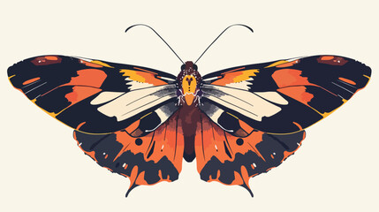 Hand drawn gorgeous butterfly with bright wings - obrazy, fototapety, plakaty