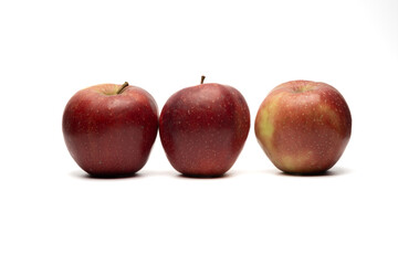 czerwone dojrzałe jabłka na białym tle. jabłko, makro, żółty, jabłek, owoc, czerwień, zieleń, lato, roślin
 - obrazy, fototapety, plakaty