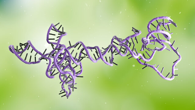 RNA obelisk, illustration