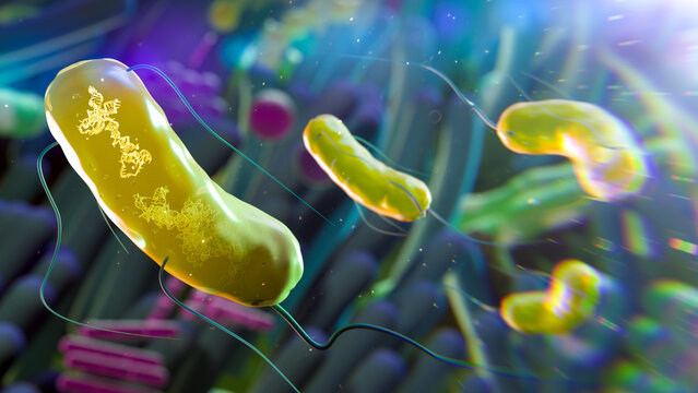 RNA obelisks in gut bacteria, illustration