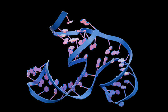 Structure of an aptamer, illustration
