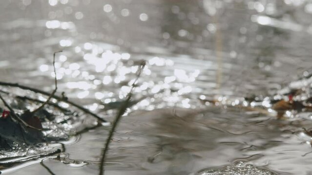 Flowing Water Stream With Sunbeam Highlights. Movement Of Meltwater. Cold Water Flows. Close Up.