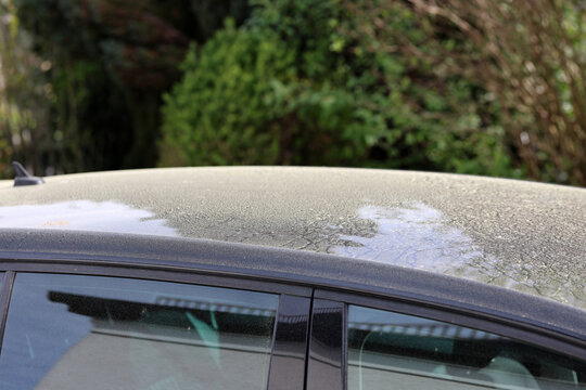 Saharastaub der sich in S&uuml;ddeutschland nach Blutregen als dicke Schmutzschicht auf einem Auto niedergelassen hat und Pollen, Bl&uuml;tenstaub und nun eine Autow&auml;sche von dem Autolack erforderlich macht.