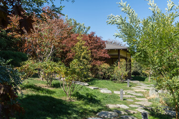Krasnodar Japanese Garden in Galitsky Park. Along walking trail, Japanese maples with red autumn foliage grow from stones. In background, among trees, pavilion built in Japanese style is visible