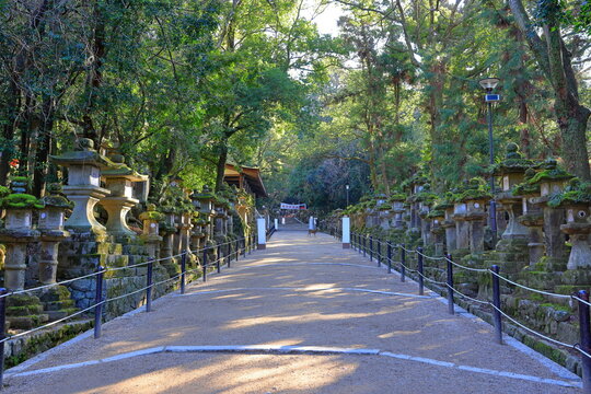  Kasuga Taisha, a Shinto shrine with beautiful lantern at Kasuganocho, Nara, Japan