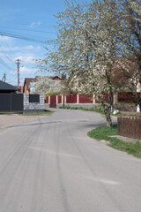 View of a street in small town	