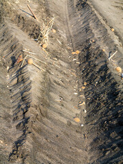 Macrofotografia in primo piano di spiaggia solitaria, con orme di pneumatici, legnetti solitari. 