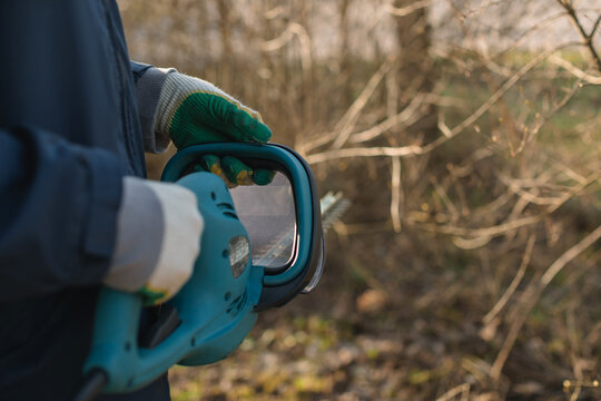 Close-up of a man trimming branches in a garden with an electric hedge trimmer