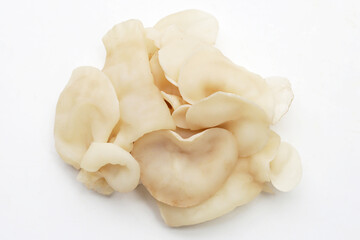 White jelly mushroom or white ear mushroom