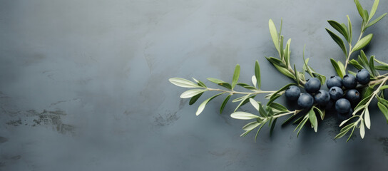 Olive branch with ripe fruits on a textured grey background, evoking a Mediterranean feel. - obrazy, fototapety, plakaty
