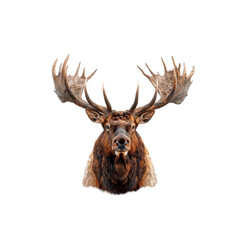 Majestic Moose Head With Large Antlers on White Background. Generative AI