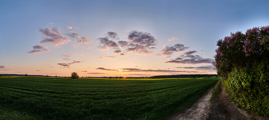 Panorama of the setting sun over fields and forests in the countryside