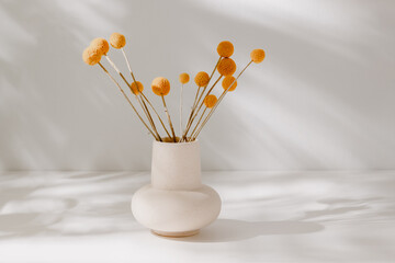 Home interior stylish decoration. Ceramic vase with dry flowers on white table with sunlight beautiful shadows. Scandinavian still life for home poster.