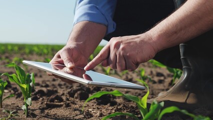 Businessman digital agricultural farmer with tablet. Man holds tablet checking information on...