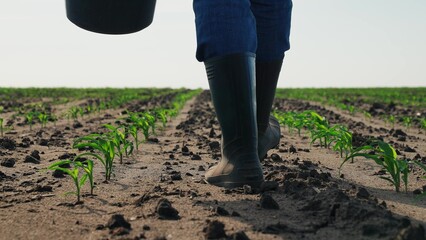 Farmer in boots walks through agricultural field. Legs feets of man in rubber boots walk along...