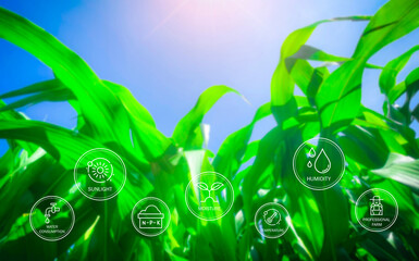  is an emerging field that utilizes technology to enhance agricultural practices