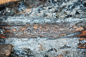 The remains of the campfire, the remains of charcoal and ash after burning firewood. Burnt firewood in the bonfire. Outdoor campfire site, campfire site. Remains of the campfire