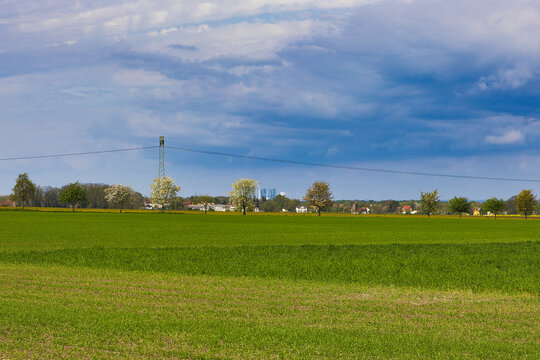 Feld mit Stromleitung und Strom Mast im Hintergrund, Wolken bei Günthersdorf, Sachsen Anhalt, Deutschland	