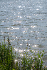 grass and lake water on a sunny day with ripples background