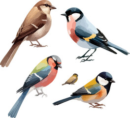 set of four birds in watercolor style. Sparrow, robin, linnet, tit