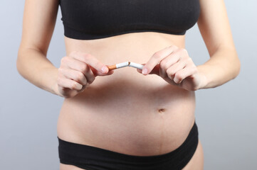 Pregnant woman breaks cigarette on a gray background. Quit smoking expectant mother