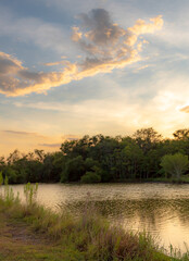 Fototapeta na wymiar Dramatic sunset clouds reflection along a treelined horizon. Photo taken on Woodlawn Lake in San Antonio Texas