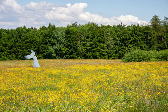 Skulptur einer Fischflosse im Park beim L&uuml;tzenhardter Hof an der Landesklinik Nordschwarzwald bei Hirsau.