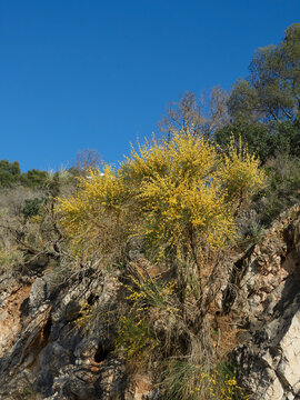 landscape view walk in the mountain of granada