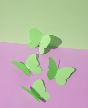 Butterflies cut out of paper on green-pink pastel background. Creative minimal layout.