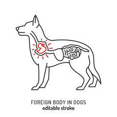 Injuries in dogs. Foreign body trauma icon, pictogram. - 788103974