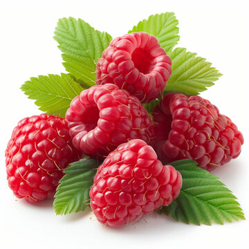 Himbeeren freigestellt - raspberries freestanding