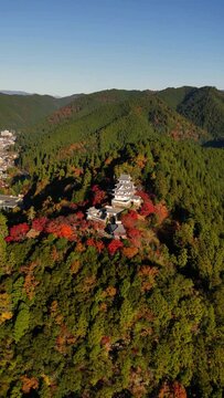 Aerial view of Gujo Hachiman Castle surrounded by autumn foliage, Gifu, Japan.