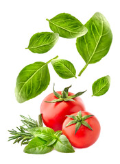 Fresh tomatoes, rosemary and basil leaves  isolated on white background.