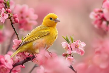 Vibrant Yellow Canary Perched Amidst the Blooming Spring Flowers in a Captivating Nature Scene