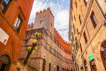 Naklejka premium Siena, medieval town in Tuscany, with view of the Dome & Bell Tower of Siena Cathedral, Mangia Tower and Basilica of San Domenico, Italy