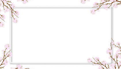 Mother's day greeting card with Pink Cherry blossom flowers border on white background,Vector illustration,Holiday banner horizontal backdrop of blooming sakura spring flora frame