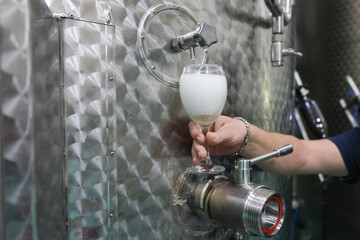 Details with the hand of a winemaker pouring sparkling wine from a metal tank into a glass, in a...