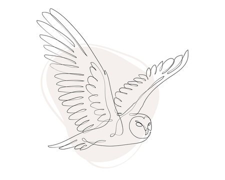 recommend clip art: Flying Owl linear minimalist decoration. Owl abstract line art. One line design silhouette of flying owl.hand drawn minimalism style.vector illustration.