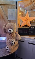 teddy bear on the bench