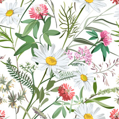 Seamless pattern with flowers - Chamomilla, Clover, Achillea Millefolium and grass isolated on white background. Hand-drawn illustrations of wildflowers.