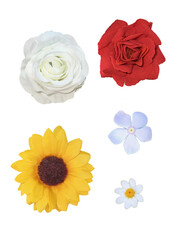 Set of different flowers on transparent background , PNG , cutout , clipping path.