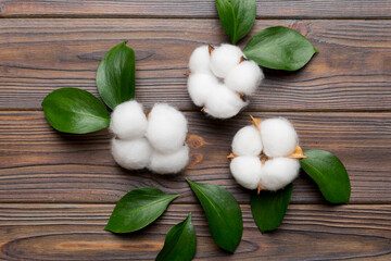 Autumn Floral Flat lay background composition. Dried white fluffy cotton flower branchwith green leaf top view on colored table with copy space