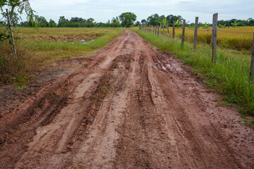 Puddle and mud country road - 788138151
