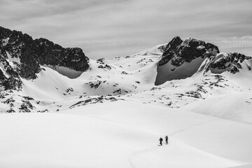 Athletes doing backcountry ski with a landscape of snowy mountains on a sunny day. Black and white