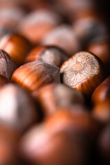 Vertical macro shot of hazelnut nuts heap close up. Food photography