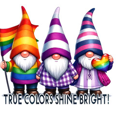 Pride Month wearing rainbow clothes, LGBTQ+ gnome holding colorful LGBTQ+ flags, homosexuality. transparent background